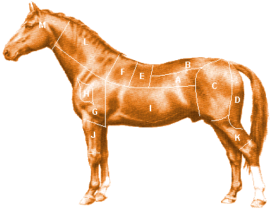 Fleischertafel für Pferde