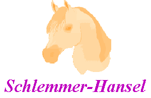 Link zur Firma Schlemmer-Hansel